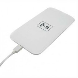 1958214_10152109875192961_958123018_n